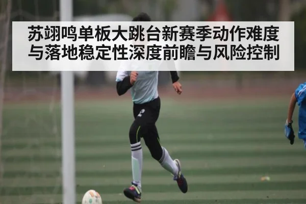 苏翊鸣单板大跳台新赛季动作难度与落地稳定性深度前瞻与风险控制
